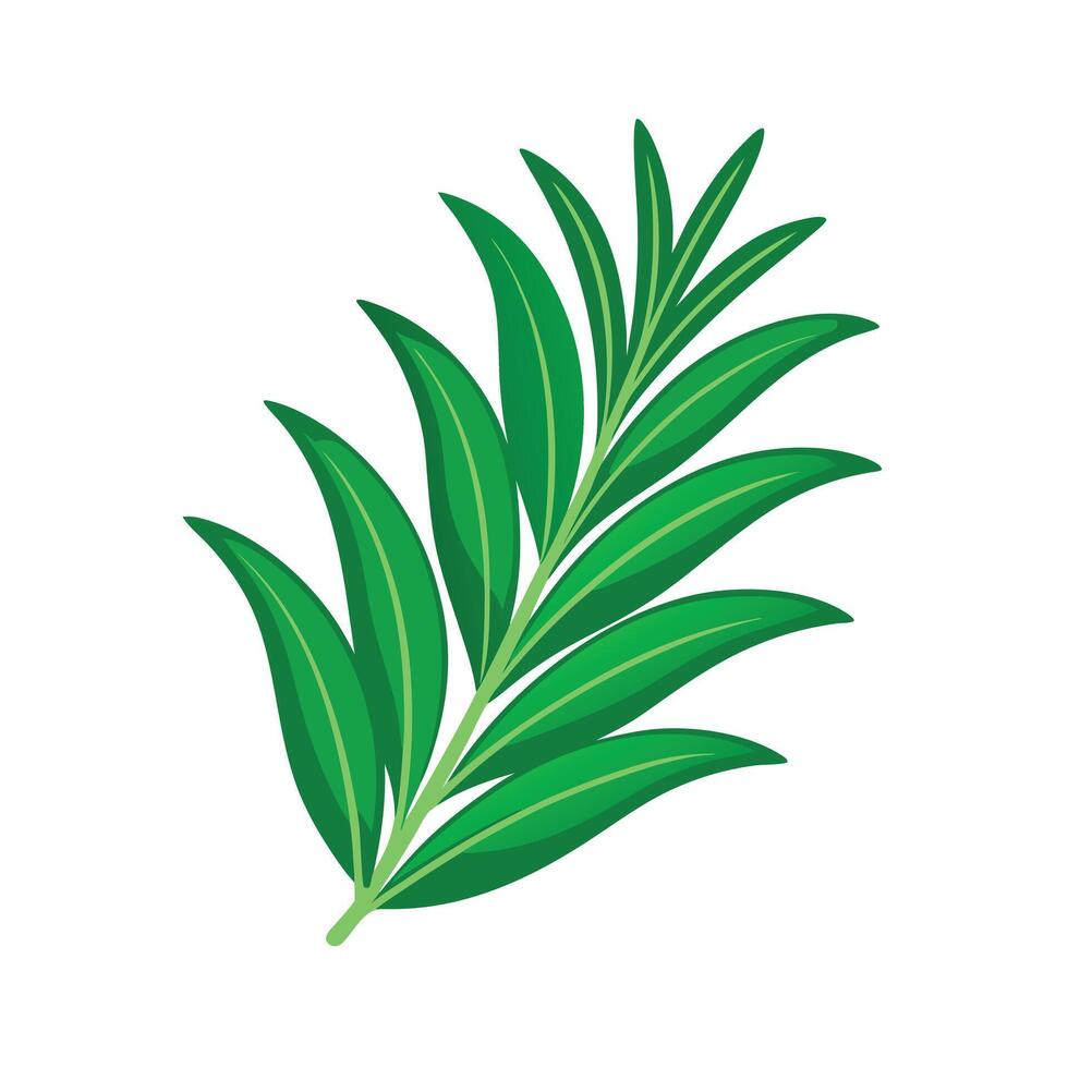 Realistic Beautiful Leaves Illustration vector