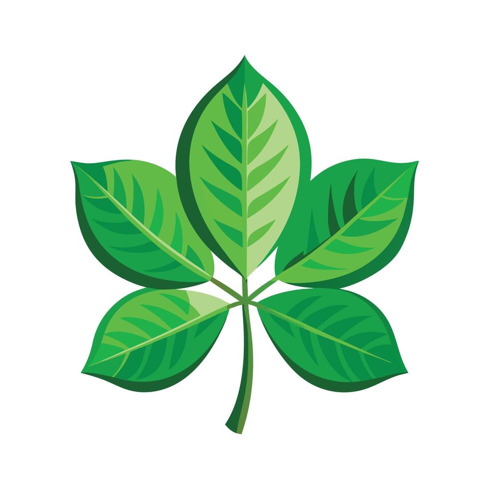 Realistic Beautiful Leaves Illustration vector
