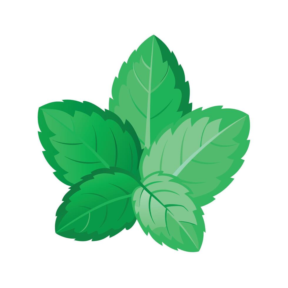 Realistic Beautiful Leaves Illustration vector