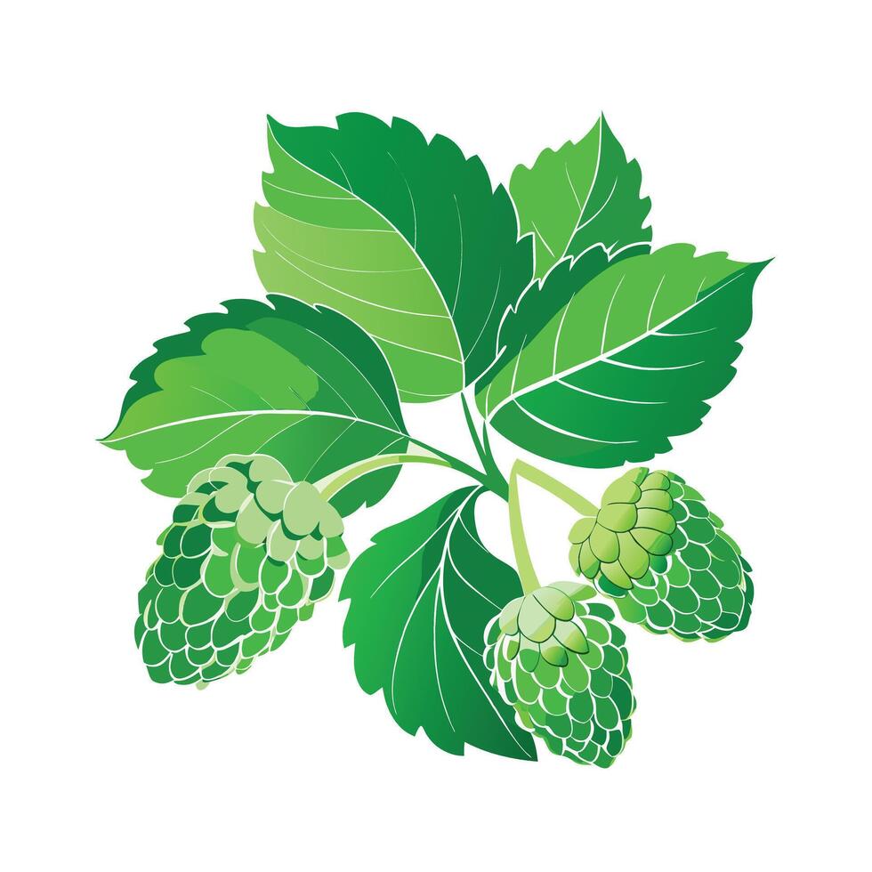Realistic Beautiful Leaves Illustration vector