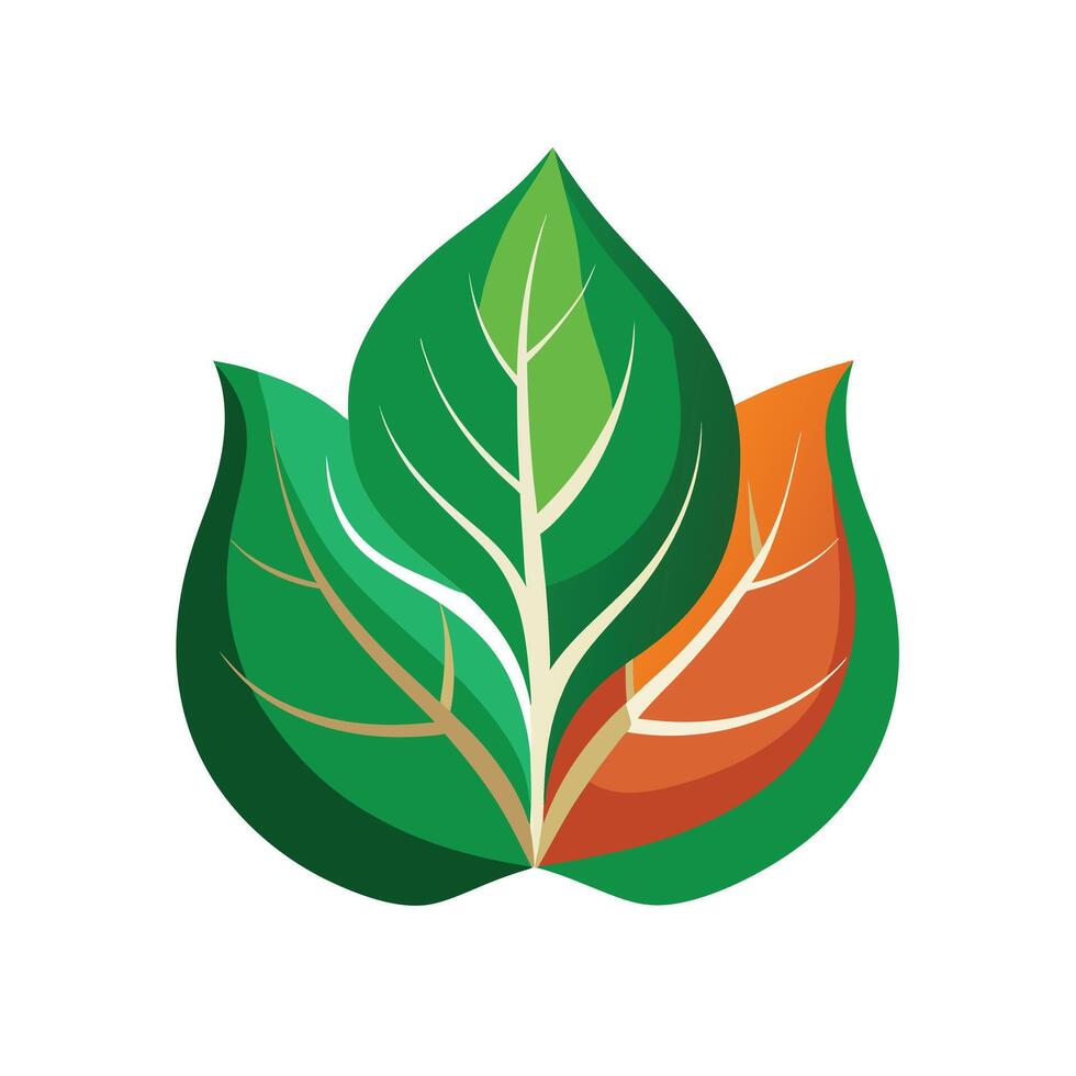 Realistic Beautiful Leaves Illustration vector