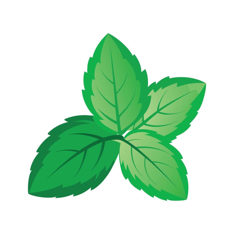 Realistic Beautiful Leaves Illustration vector