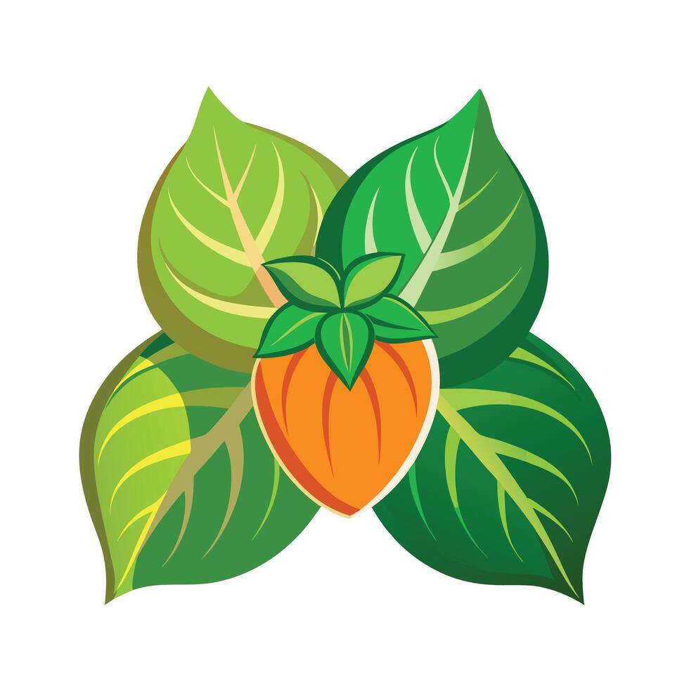 Realistic Beautiful Leaves Illustration vector