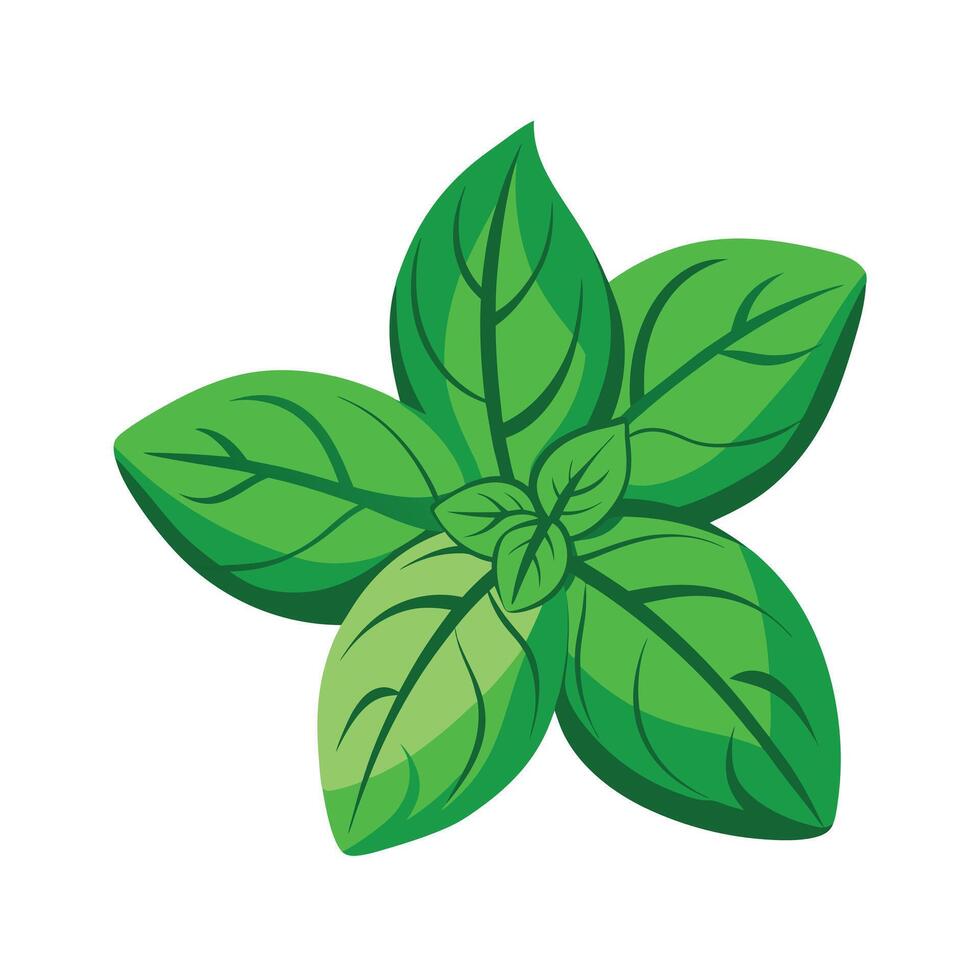 Realistic Beautiful Leaves Illustration vector