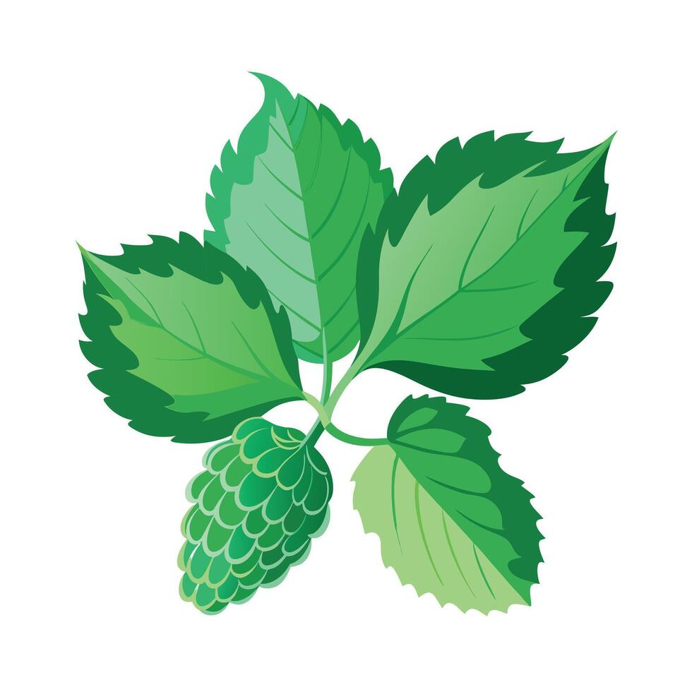 Realistic Beautiful Leaves Illustration vector