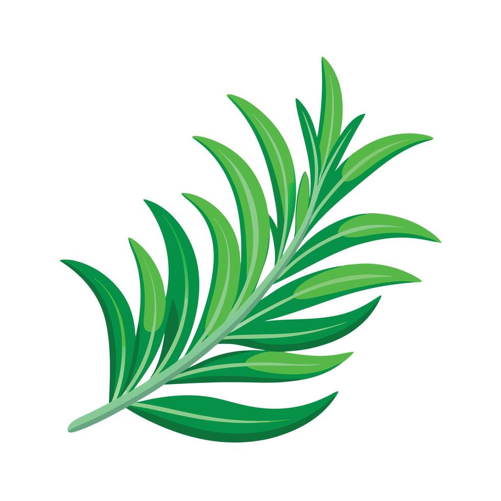 Realistic Beautiful Leaves Illustration vector