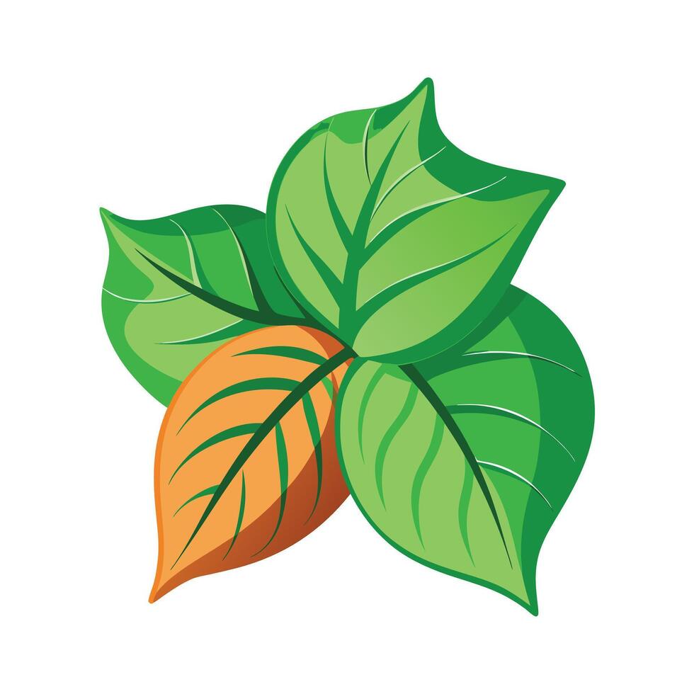 Realistic Beautiful Leaves Illustration vector