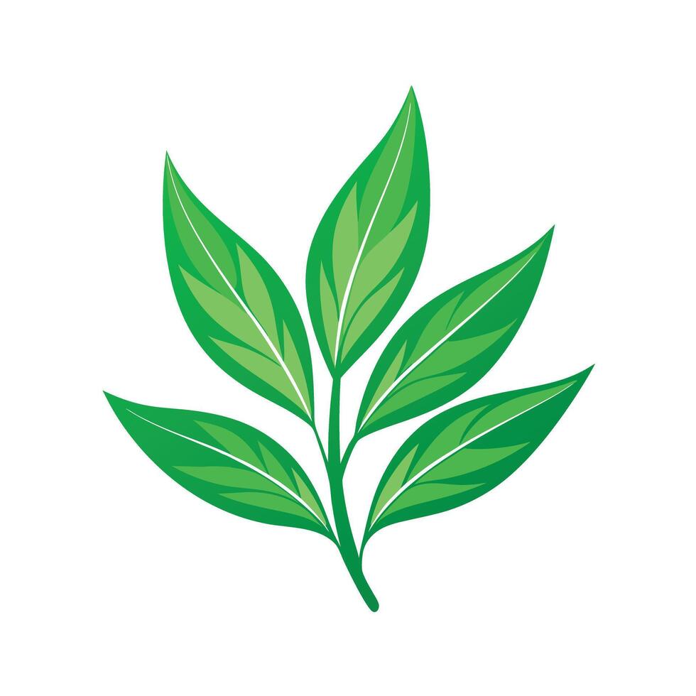 Realistic Beautiful Leaves Illustration vector