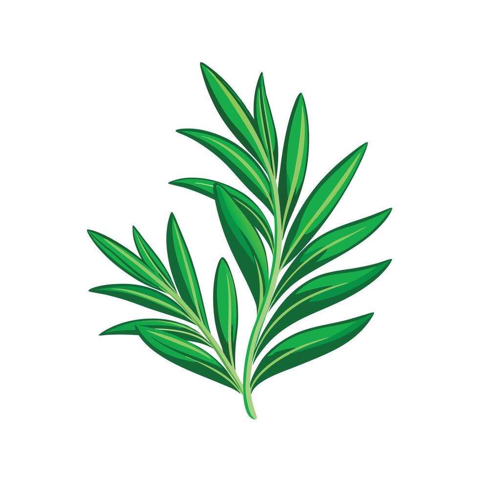 Realistic Beautiful Leaves Illustration vector