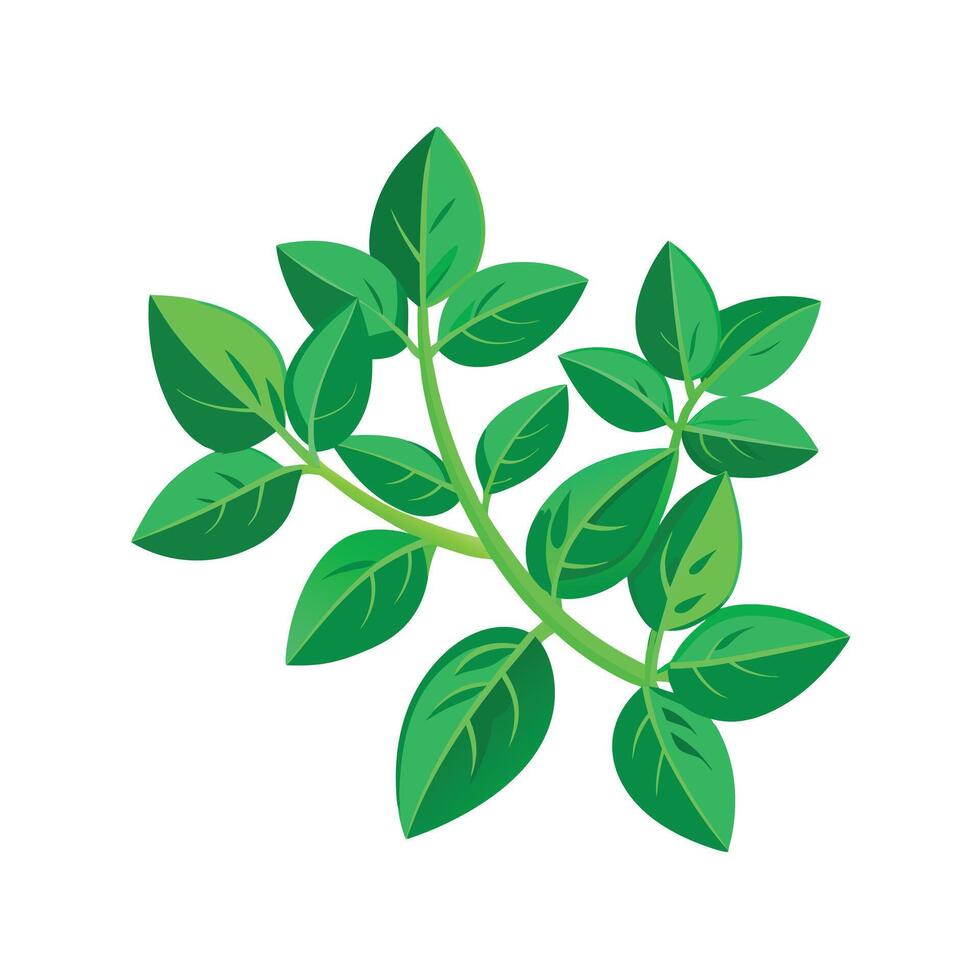 Realistic Beautiful Leaves Illustration vector