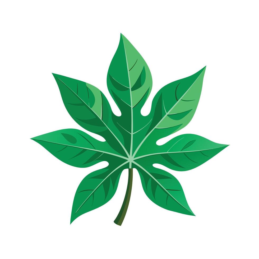 Realistic Beautiful Leaves Illustration vector
