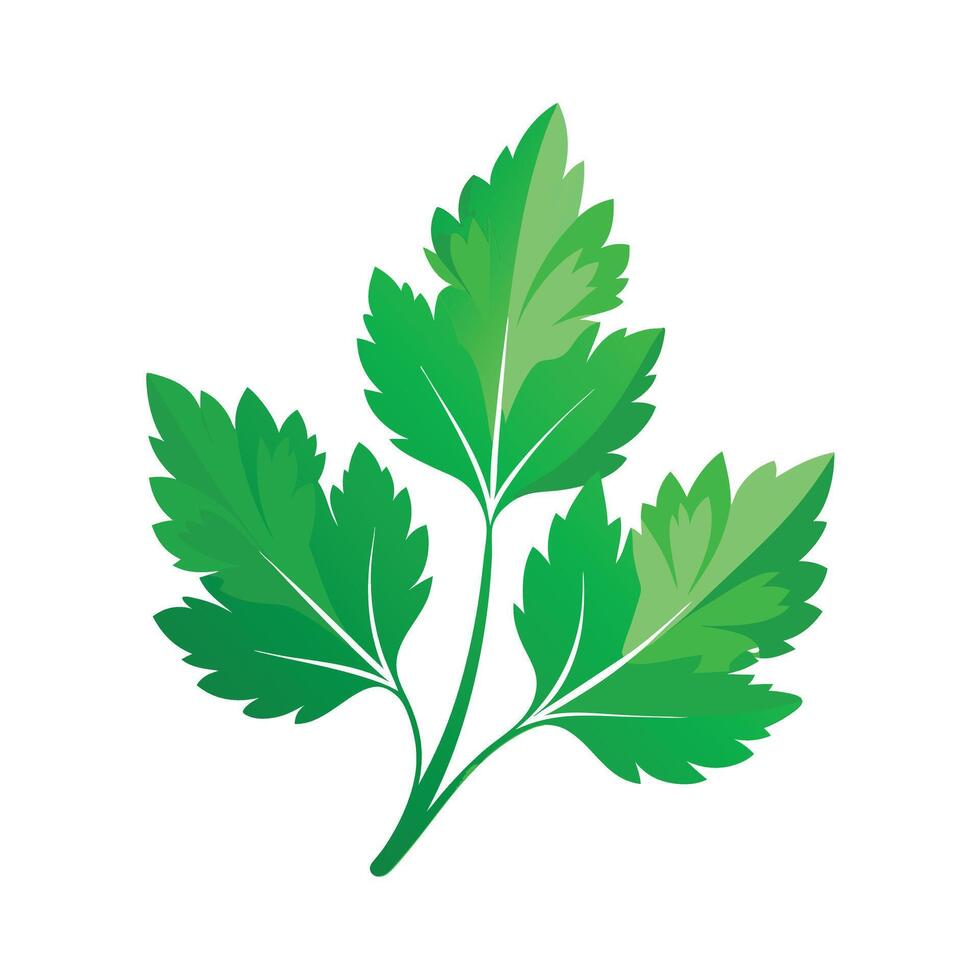 Realistic Beautiful Leaves Illustration vector