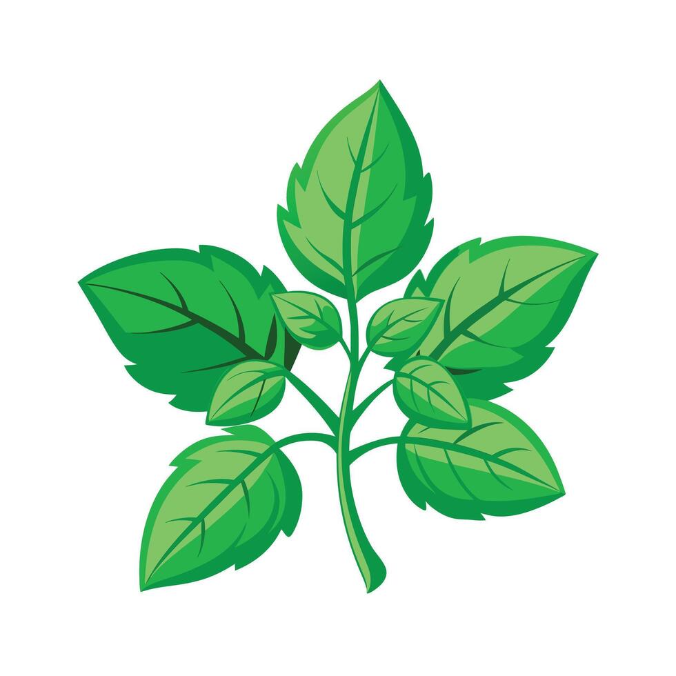 Realistic Beautiful Leaves Illustration vector