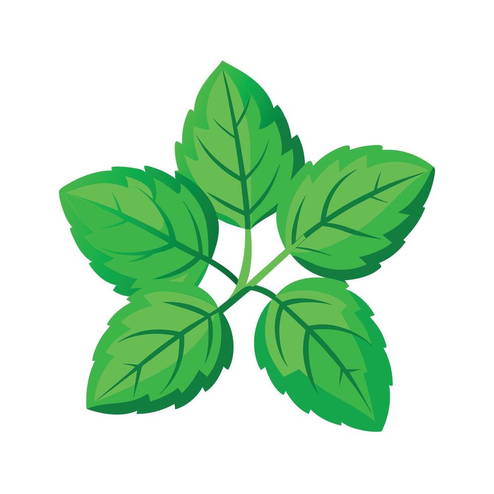 Realistic Beautiful Leaves Illustration vector