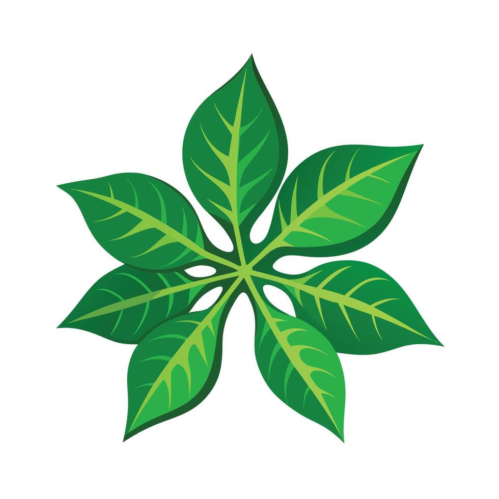 Realistic Beautiful Leaves Illustration vector