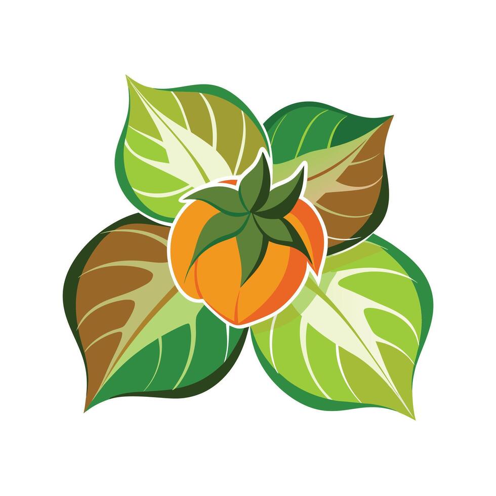 Realistic Beautiful Leaves Illustration vector