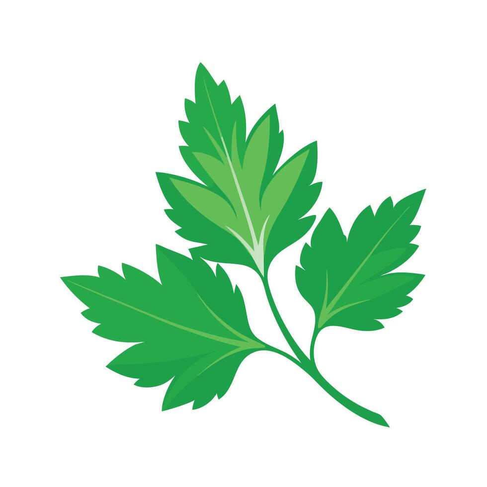 Realistic Beautiful Leaves Illustration vector