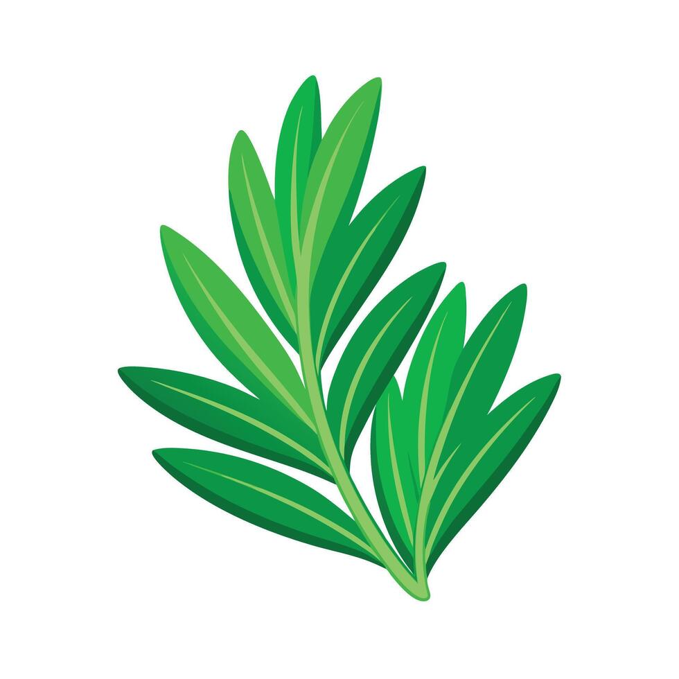 Realistic Beautiful Leaves Illustration vector
