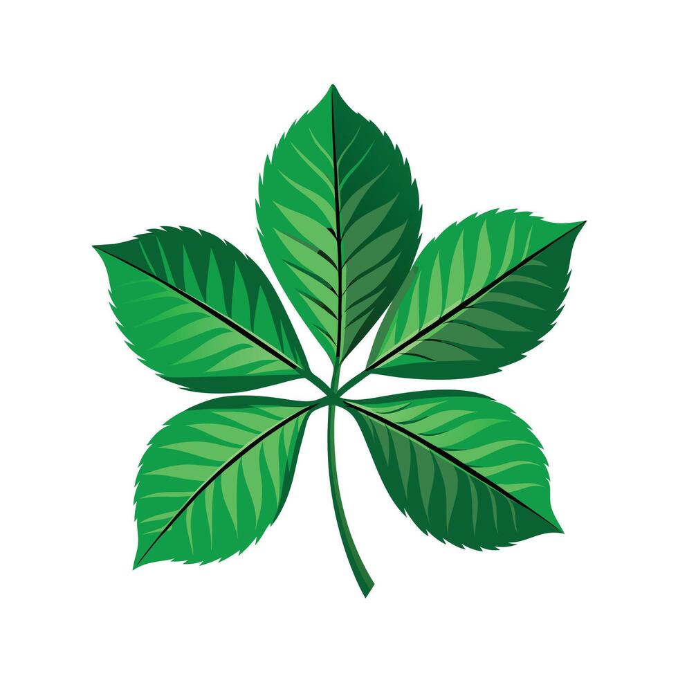 Realistic Beautiful Leaves Illustration vector