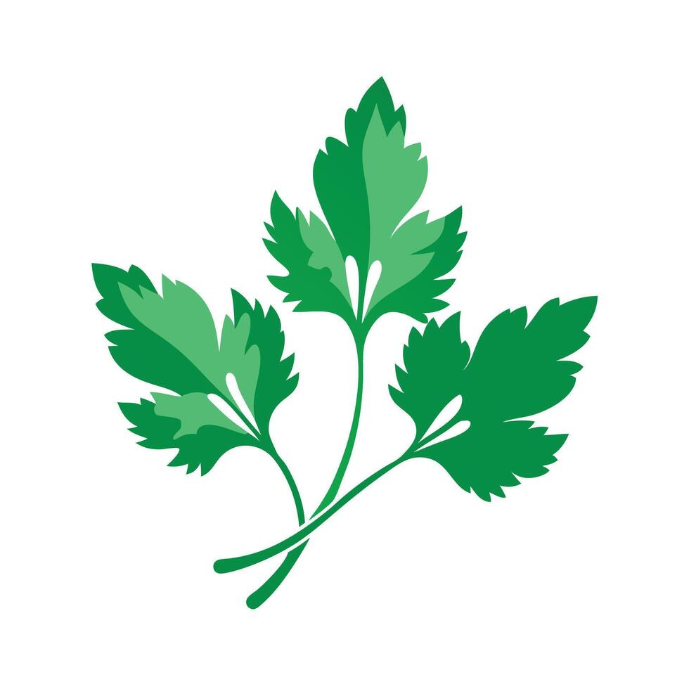 Realistic Beautiful Leaves Illustration vector