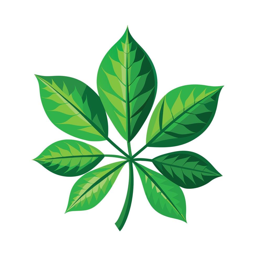 Realistic Beautiful Leaves Illustration vector
