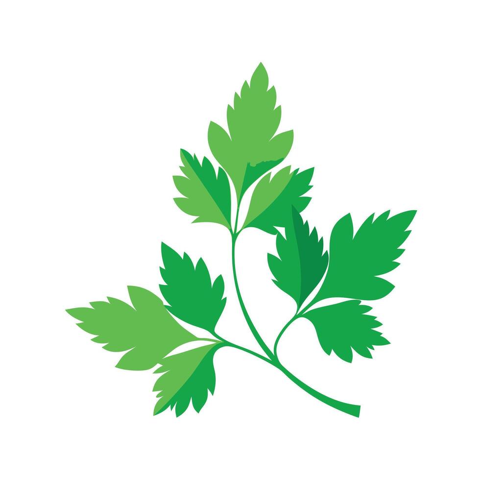 Realistic Beautiful Leaves Illustration vector