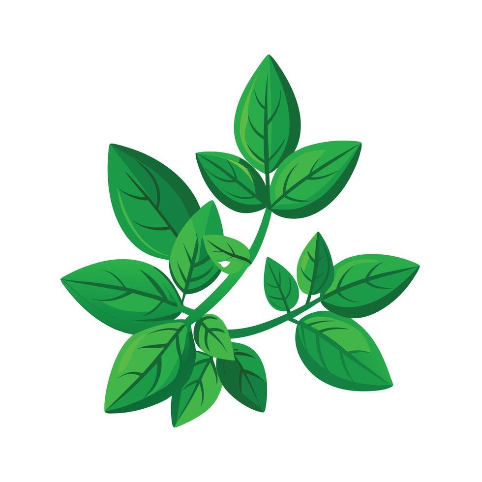 Realistic Beautiful Leaves Illustration vector