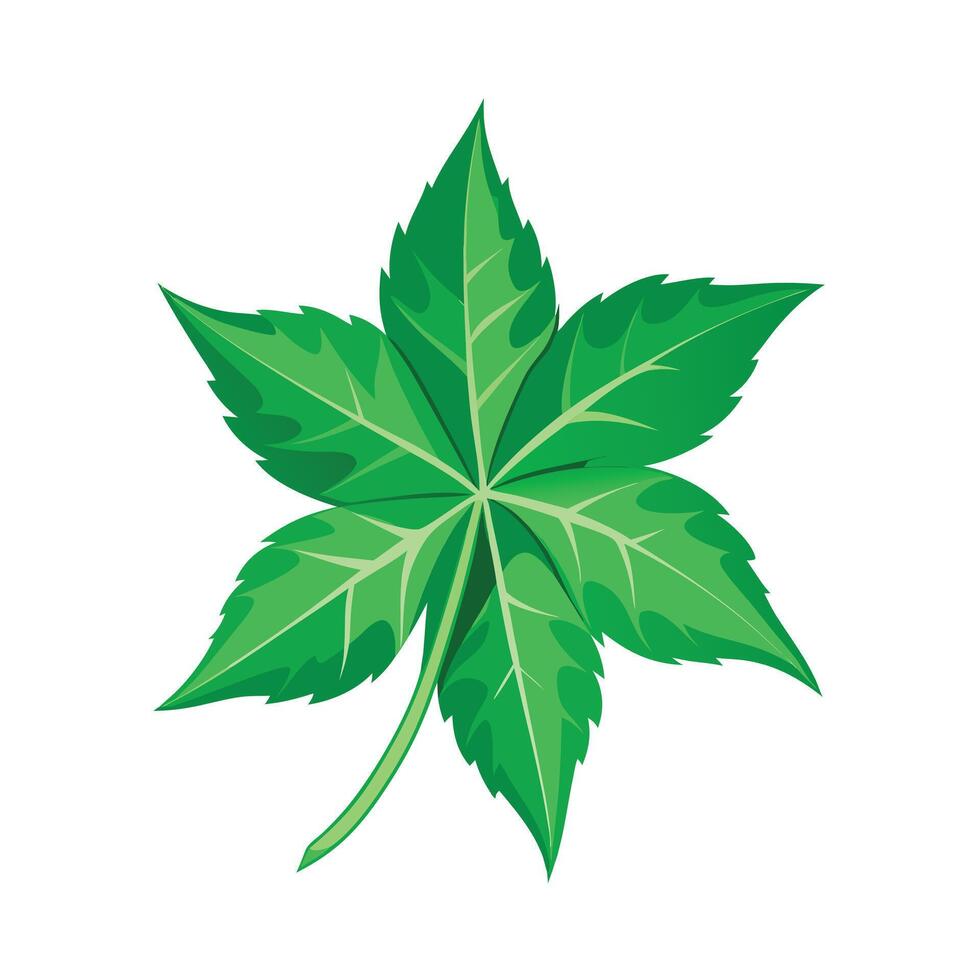 Realistic Beautiful Leaves Illustration vector