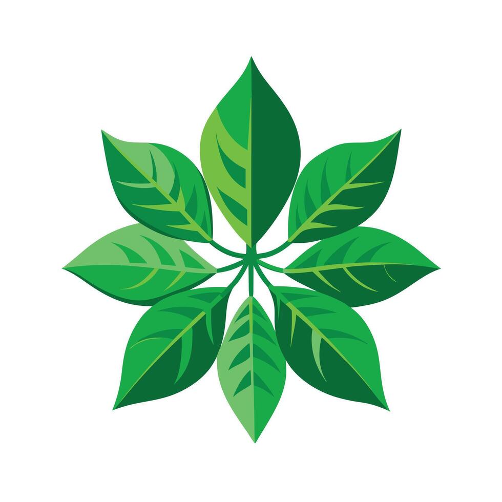Realistic Beautiful Leaves Illustration vector
