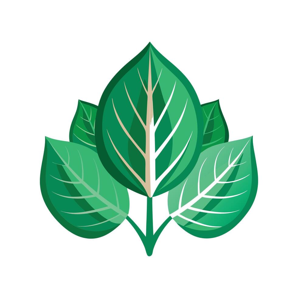 Realistic Beautiful Leaves Illustration vector