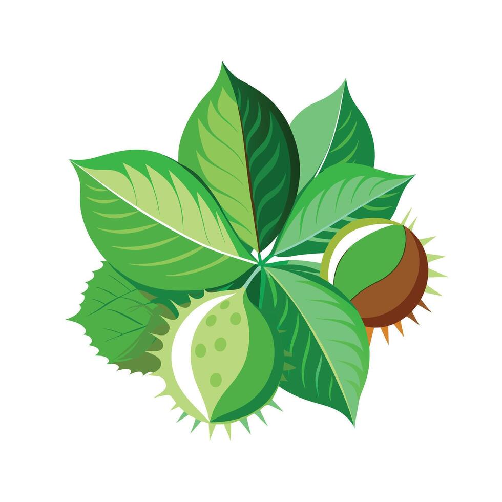 Realistic Beautiful Leaves Illustration vector