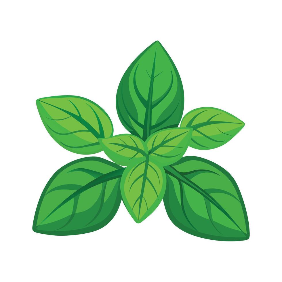 Realistic Beautiful Leaves Illustration vector
