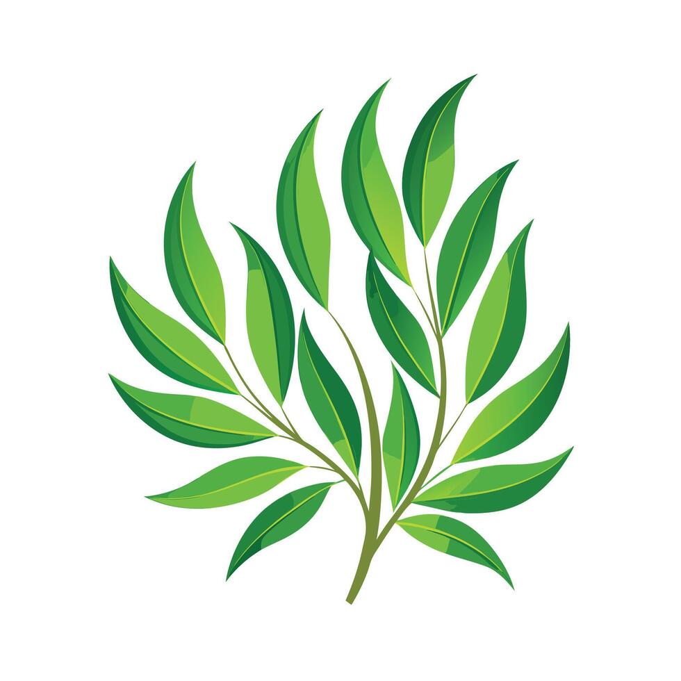 Realistic Beautiful Leaves Illustration vector