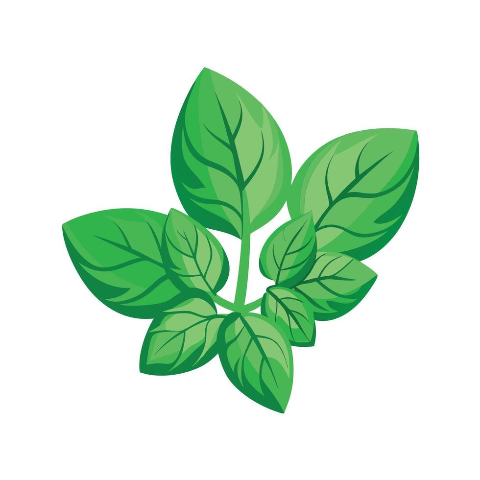 Realistic Beautiful Leaves Illustration vector
