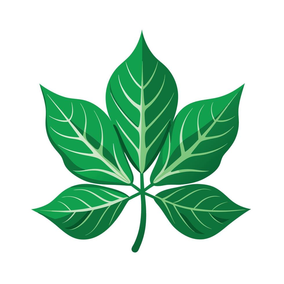Realistic Beautiful Leaves Illustration vector