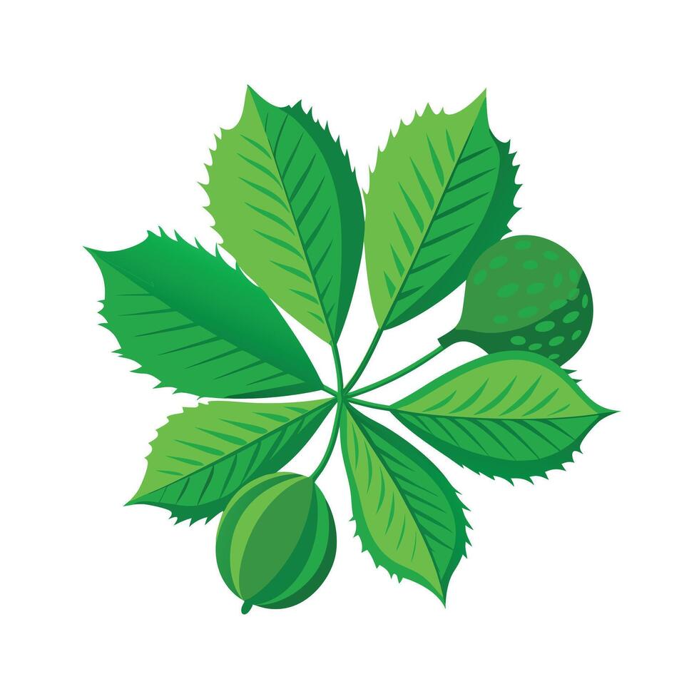Realistic Beautiful Leaves Illustration vector