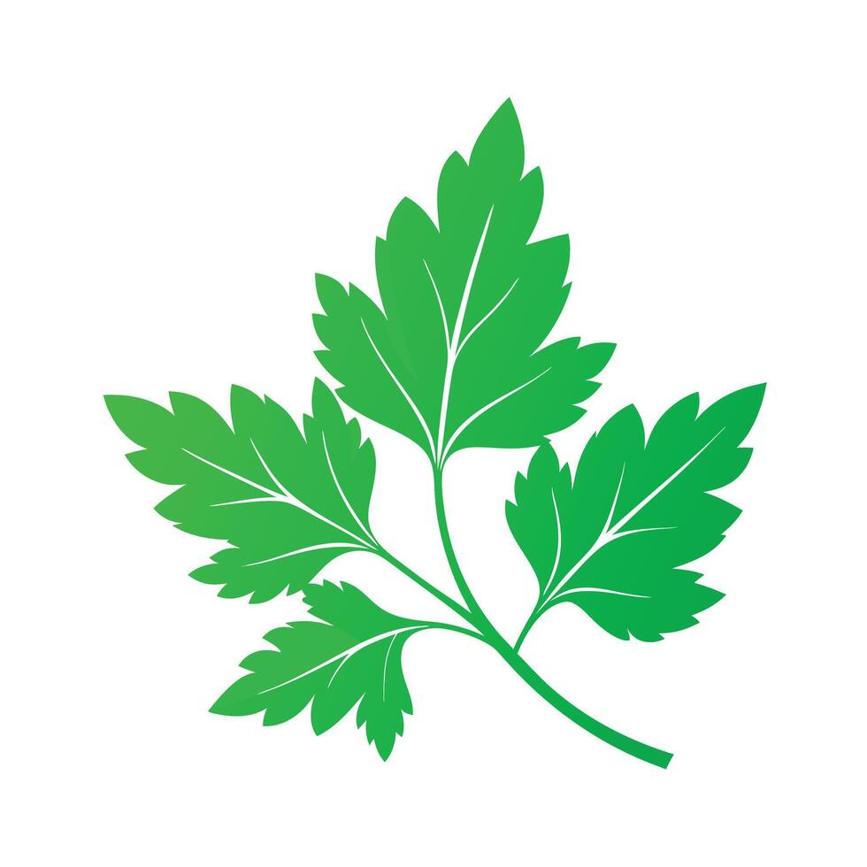 Realistic Beautiful Leaves Illustration vector