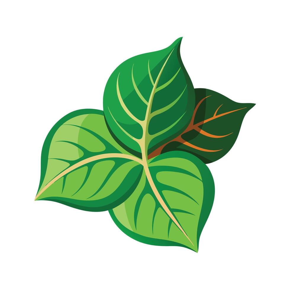 Realistic Beautiful Leaves Illustration vector