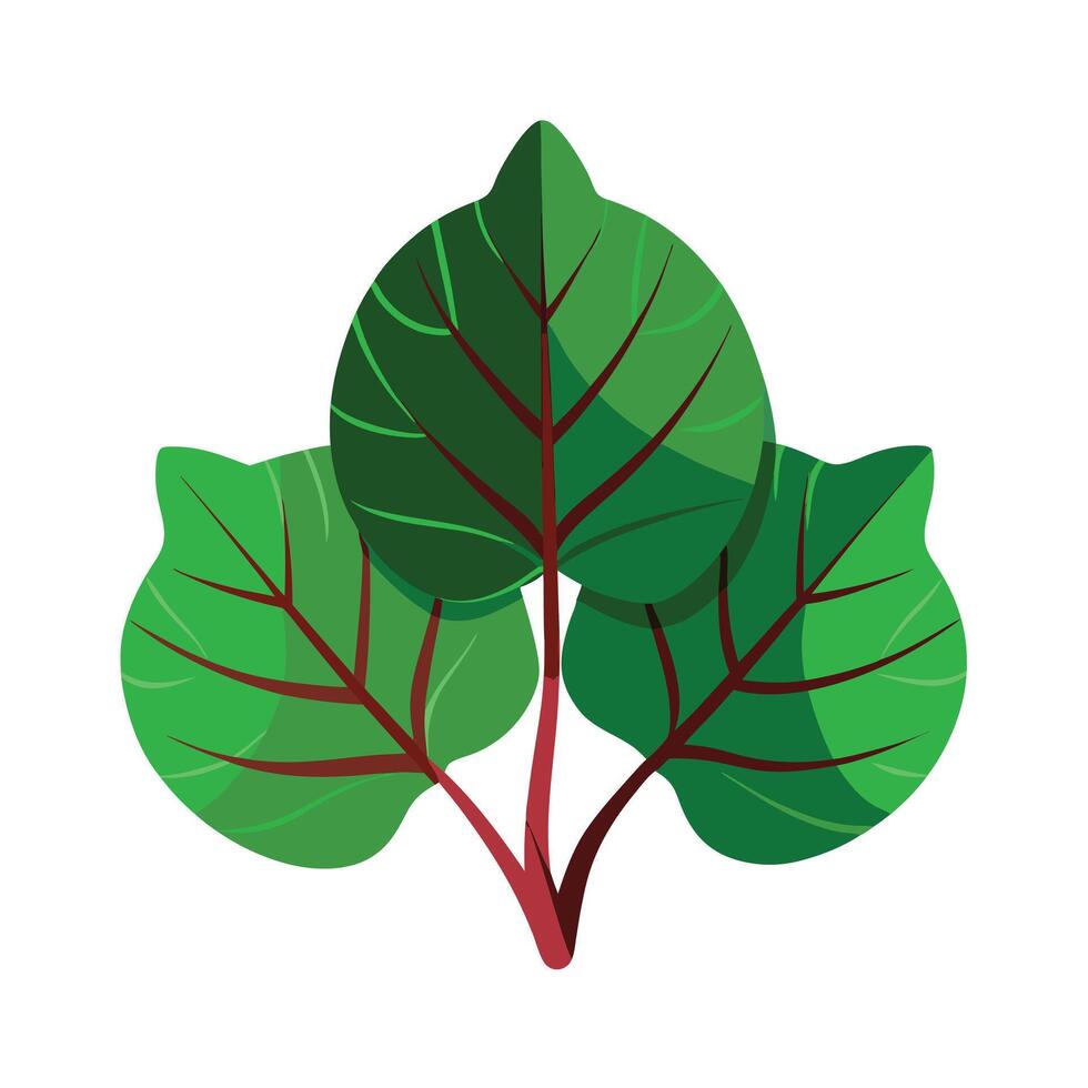 Realistic Beautiful Leaves Illustration vector