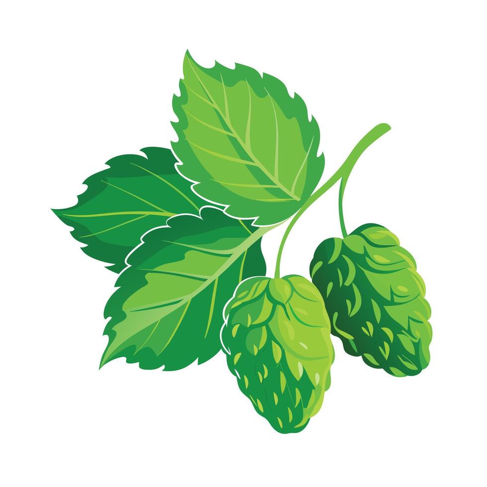 Realistic Beautiful Leaves Illustration vector