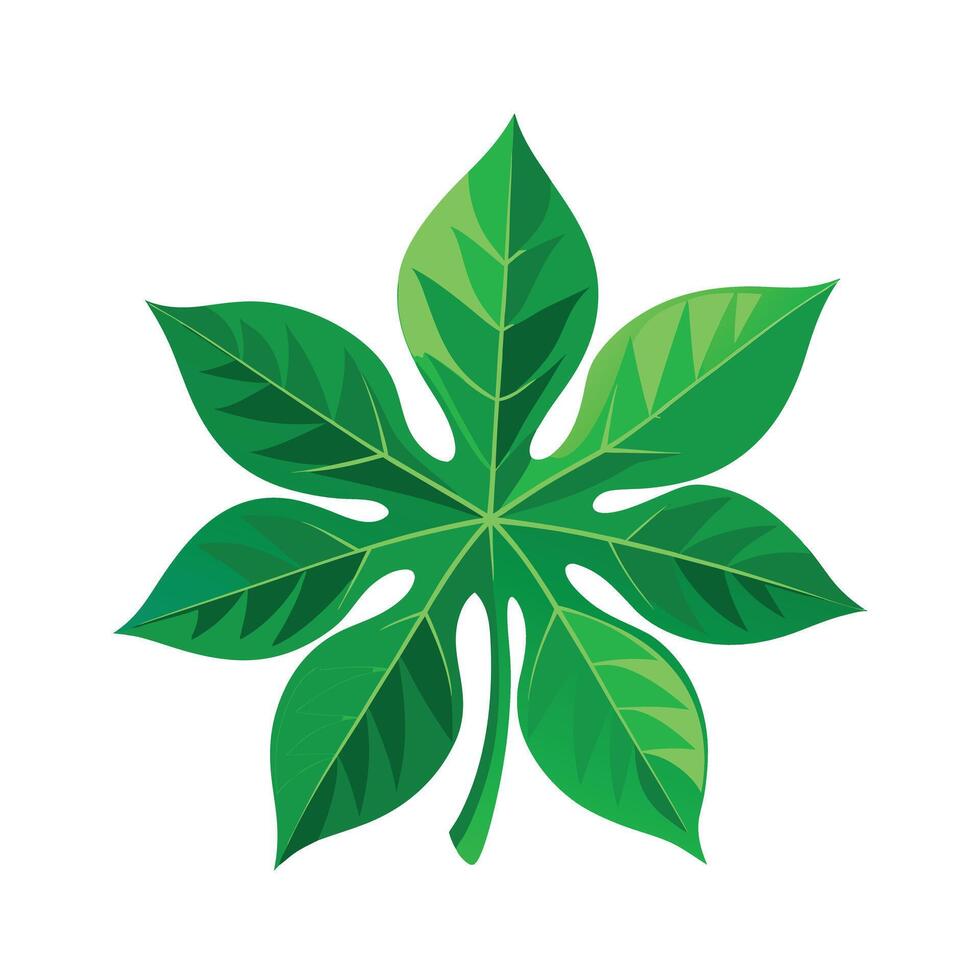 Realistic Beautiful Leaves Illustration vector