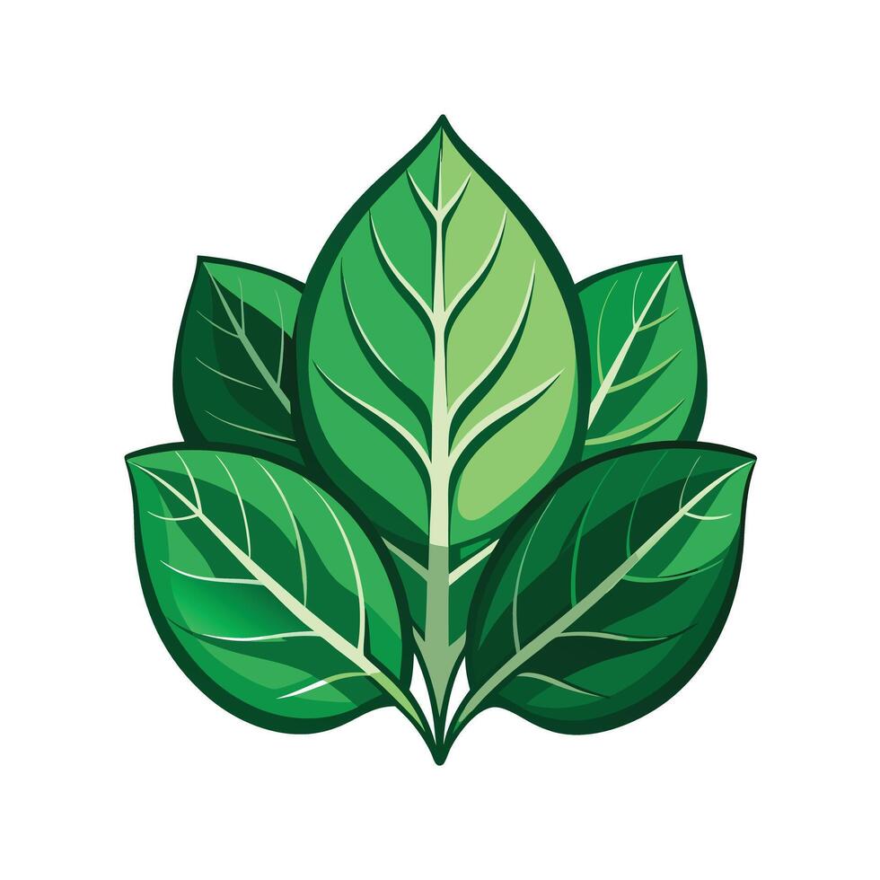 Realistic Beautiful Leaves Illustration vector