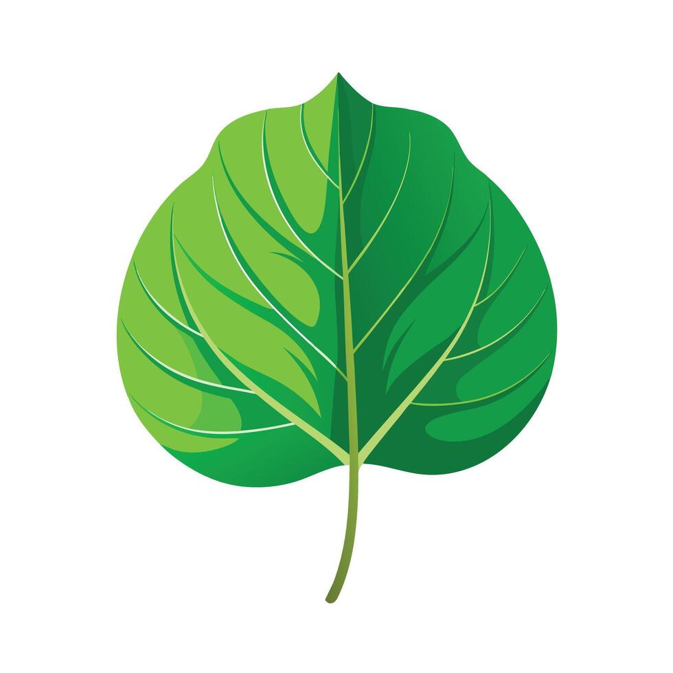 Realistic Beautiful Leaves Illustration vector