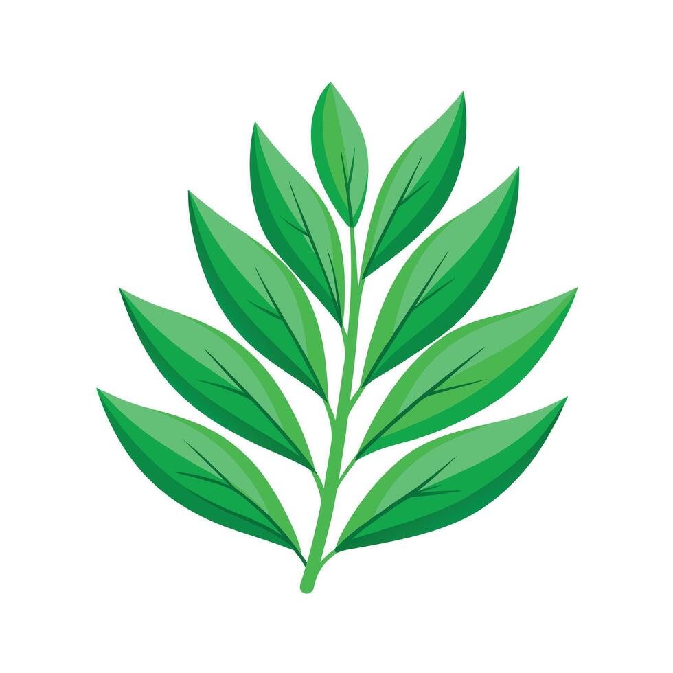 Realistic Beautiful Leaves Illustration vector