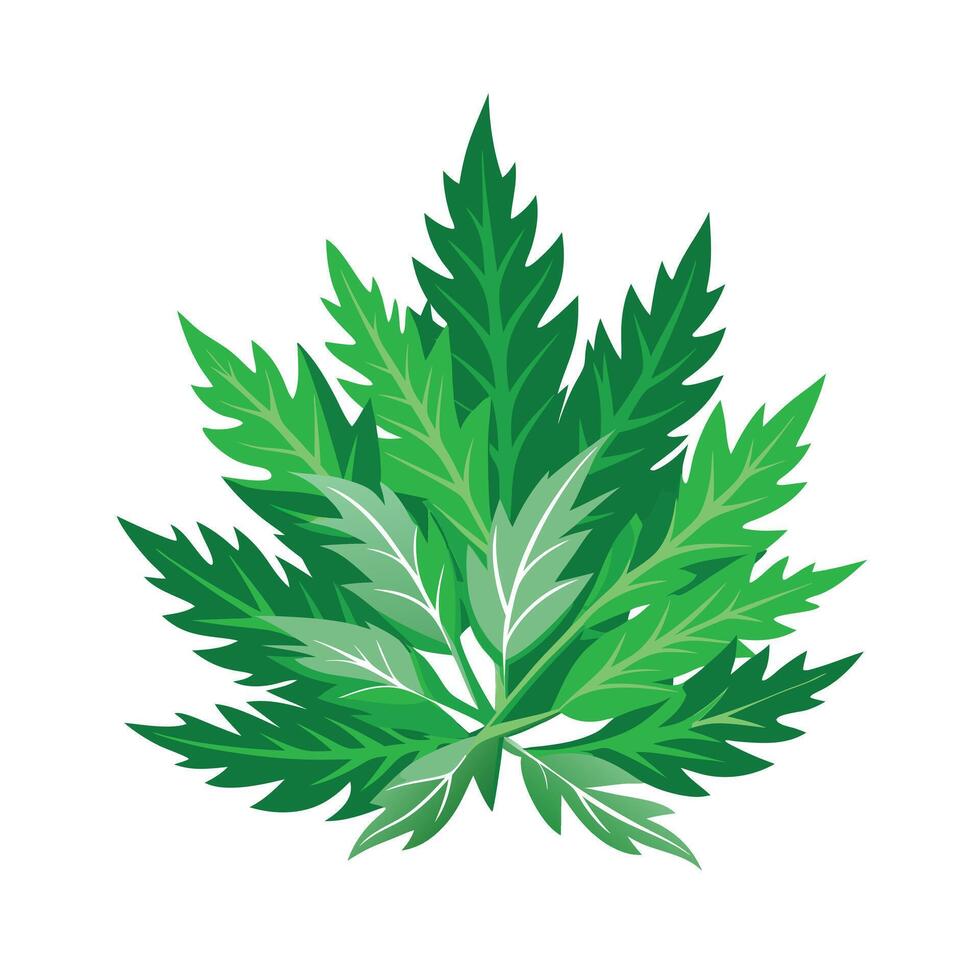 Realistic Beautiful Leaves Illustration vector