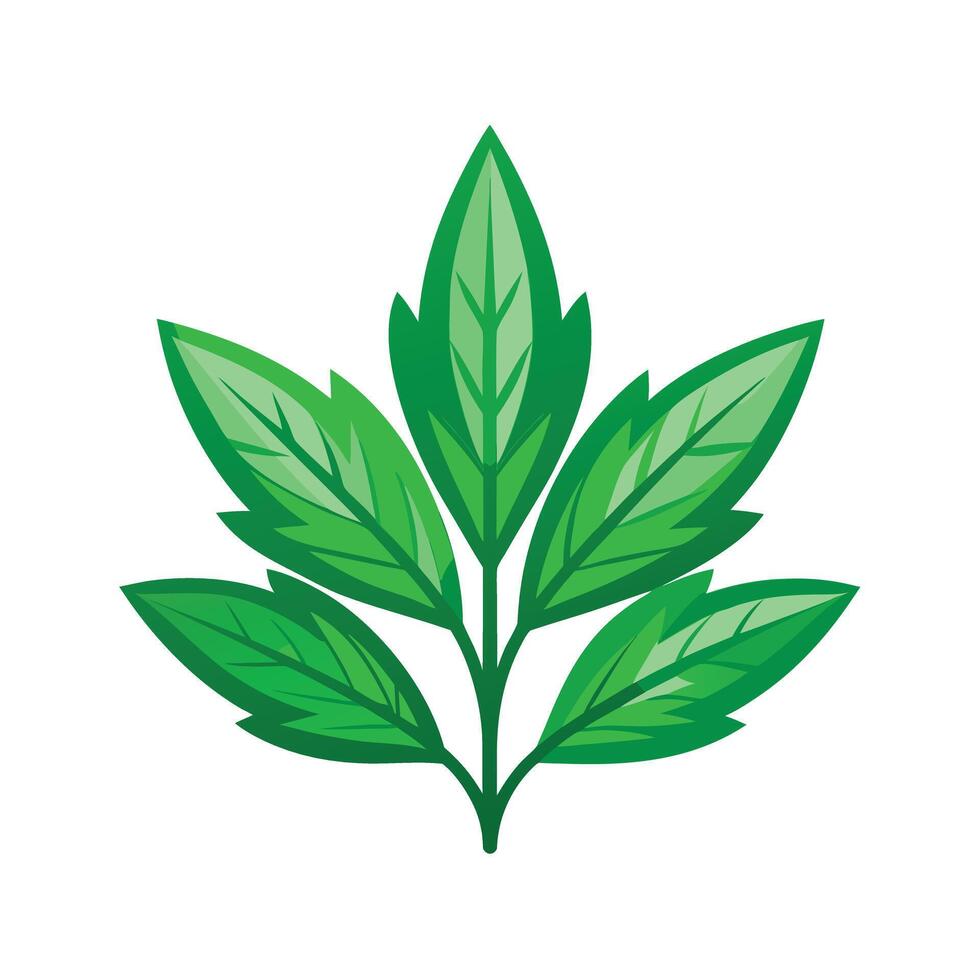 Realistic Beautiful Leaves Illustration vector