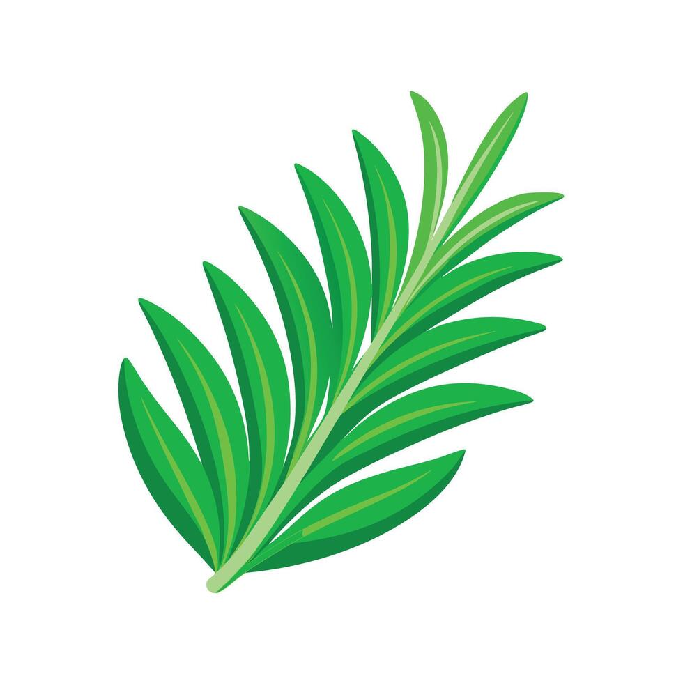 Realistic Beautiful Leaves Illustration vector