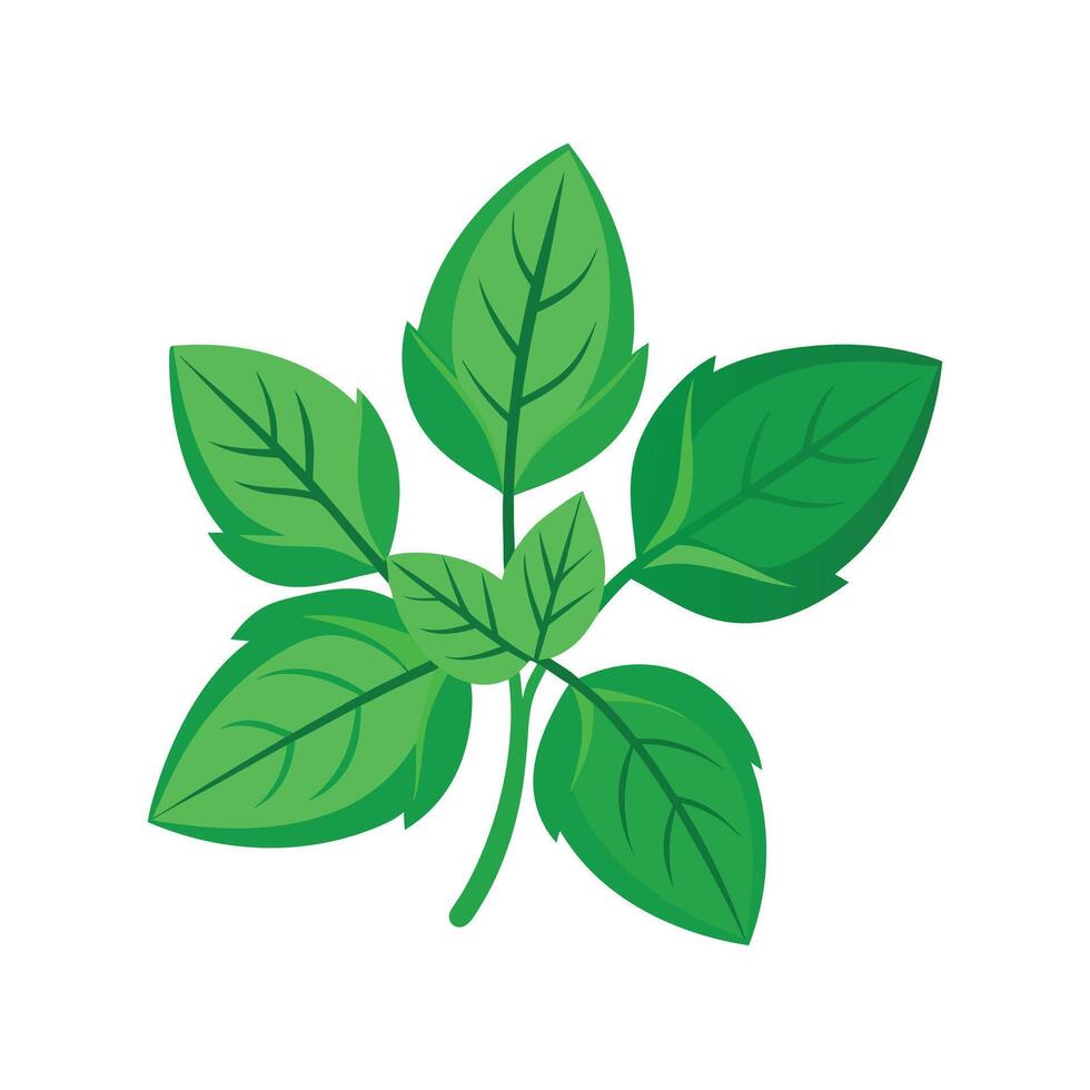 Realistic Beautiful Leaves Illustration vector