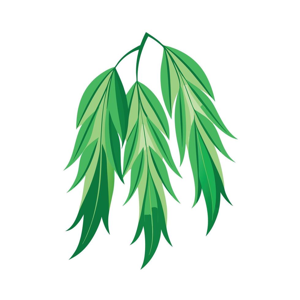 Realistic Beautiful Leaves Illustration vector