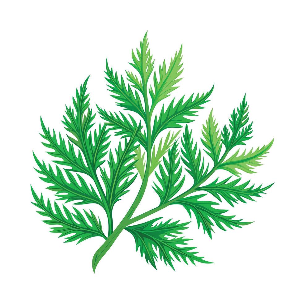 Realistic Beautiful Leaves Illustration vector